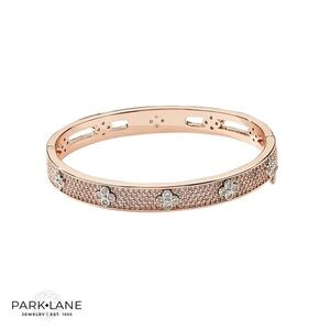 Park Lane Royal Gold and Silver Bangle Bracelet | New
